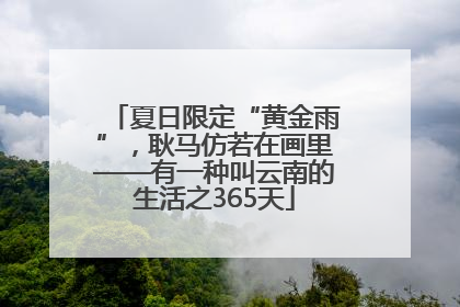 夏日限定“黄金雨”，耿马仿若在画里——有一种叫云南的生活之365天