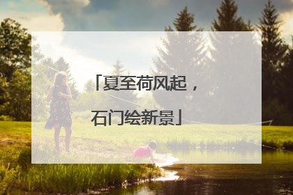 夏至荷风起，石门绘新景