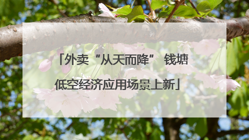 外卖“从天而降” 钱塘低空经济应用场景上新