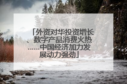 外资对华投资增长、数字产品消费火热……中国经济加力发展动力强劲