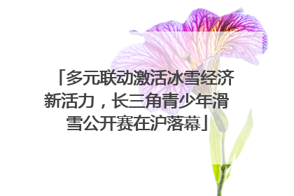 多元联动激活冰雪经济新活力，长三角青少年滑雪公开赛在沪落幕