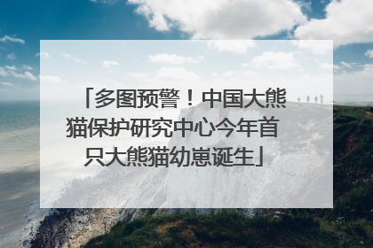 多图预警！中国大熊猫保护研究中心今年首只大熊猫幼崽诞生