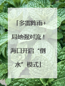 多雷阵雨+局地强对流！海口开启“倒水”模式
