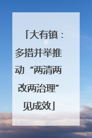 大有镇：多措并举推动“两清两改两治理”见成效