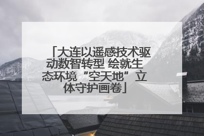 大连以遥感技术驱动数智转型 绘就生态环境“空天地”立体守护画卷