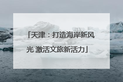 天津：打造海岸新风光 激活文旅新活力