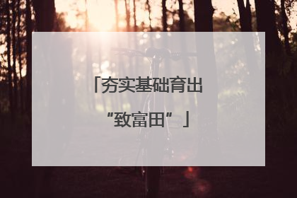 夯实基础育出“致富田”