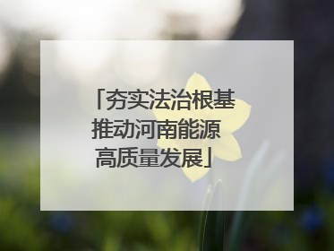 夯实法治根基 推动河南能源高质量发展