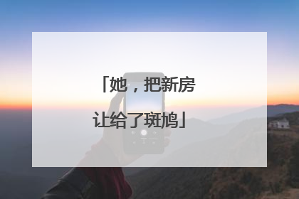 她，把新房让给了斑鸠