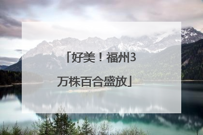 好美！福州3万株百合盛放