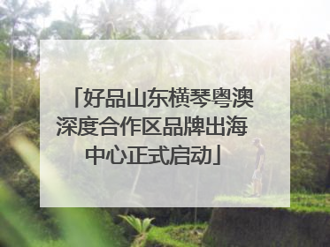 好品山东横琴粤澳深度合作区品牌出海中心正式启动