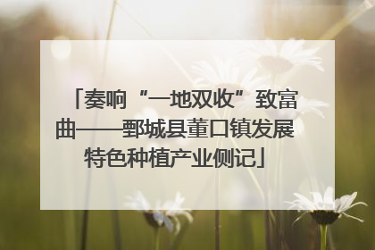 奏响“一地双收”致富曲——鄄城县董口镇发展特色种植产业侧记