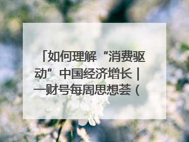 如何理解“消费驱动”中国经济增长｜一财号每周思想荟（第22期）