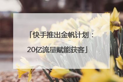 快手推出金帆计划：20亿流量赋能获客