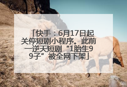 快手：6月17日起关停短剧小程序。此前一逆天短剧“1胎生99子”被全网下架