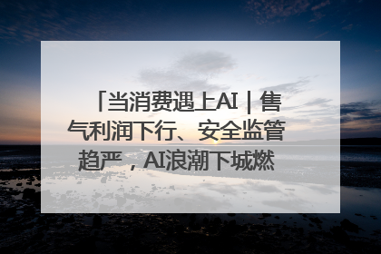 当消费遇上AI｜售气利润下行、安全监管趋严，AI浪潮下城燃企业如何破局
