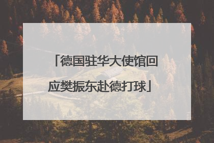 德国驻华大使馆回应樊振东赴德打球