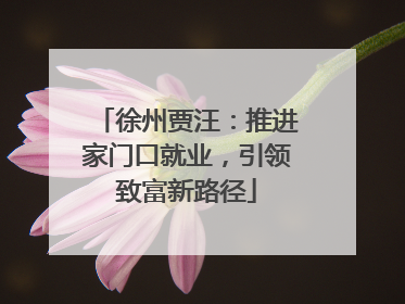 徐州贾汪：推进家门口就业，引领致富新路径