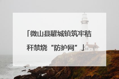 微山县驩城镇筑牢秸秆禁烧“防护网”