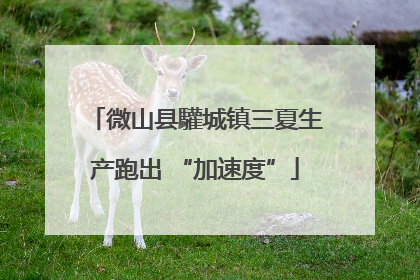 微山县驩城镇三夏生产跑出 “加速度”