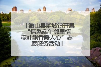 微山县驩城镇开展“情系端午邻里情 粽叶飘香暖人心”志愿服务活动