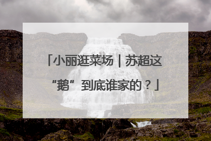 小丽逛菜场｜苏超这“鹅”到底谁家的？