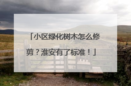 小区绿化树木怎么修剪？淮安有了标准！