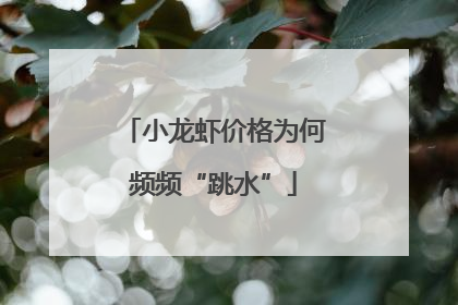 小龙虾价格为何频频“跳水”