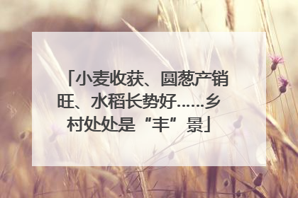 小麦收获、圆葱产销旺、水稻长势好……乡村处处是“丰”景