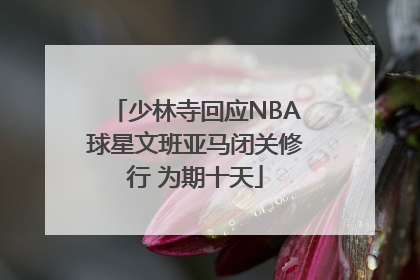 少林寺回应NBA球星文班亚马闭关修行 为期十天