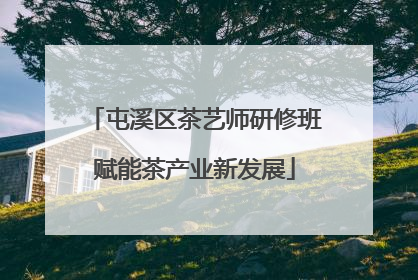 屯溪区茶艺师研修班赋能茶产业新发展