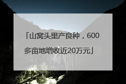 山窝头里产良种，600多亩地增收近20万元