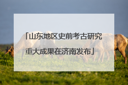 山东地区史前考古研究重大成果在济南发布