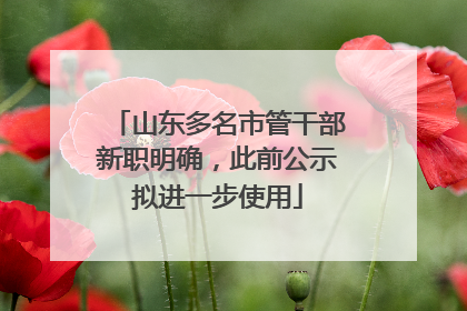 山东多名市管干部新职明确，此前公示拟进一步使用