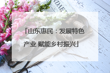 山东惠民：发展特色产业 赋能乡村振兴