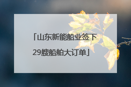 山东新能船业签下29艘船舶大订单