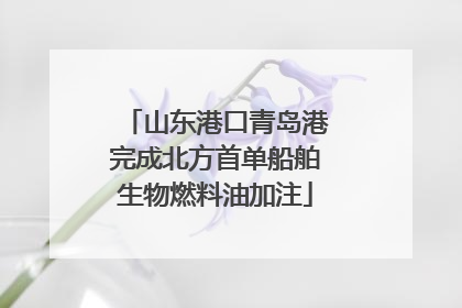 山东港口青岛港完成北方首单船舶生物燃料油加注