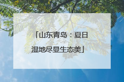 山东青岛：夏日湿地尽显生态美