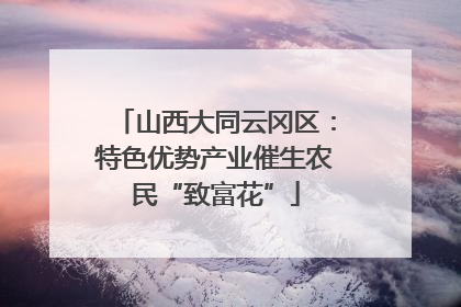 山西大同云冈区：特色优势产业催生农民“致富花”