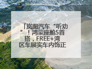 岚图汽车“听劝”！鸿蒙座舱5首搭，FREE+湾区车展实车内饰正式曝光