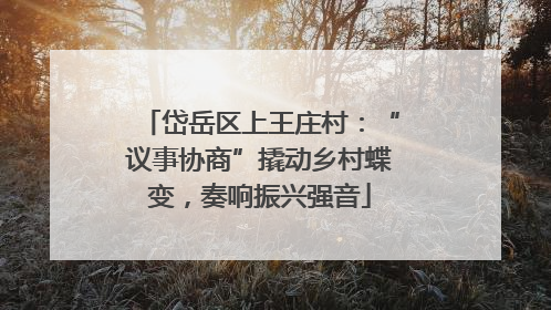 岱岳区上王庄村：“议事协商”撬动乡村蝶变，奏响振兴强音