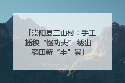 崇阳县三山村：手工插秧“慢功夫” 绣出稻田新“丰”景