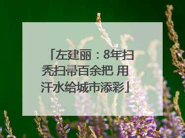 左建丽：8年扫秃扫帚百余把 用汗水给城市添彩