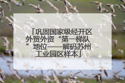 巩固国家级经开区外贸外资“第一梯队”地位——解码苏州工业园区样本