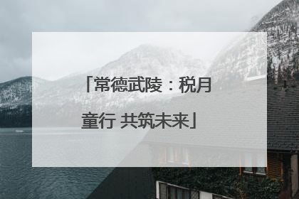 常德武陵：税月童行 共筑未来