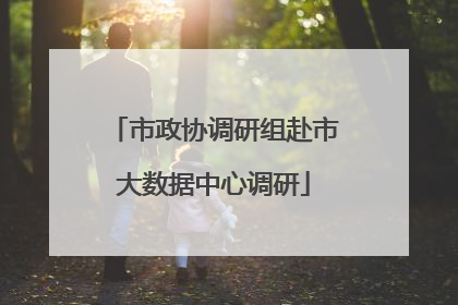 市政协调研组赴市大数据中心调研