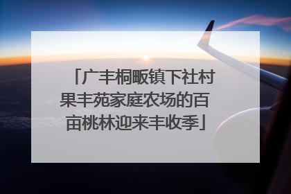 广丰桐畈镇下社村果丰苑家庭农场的百亩桃林迎来丰收季