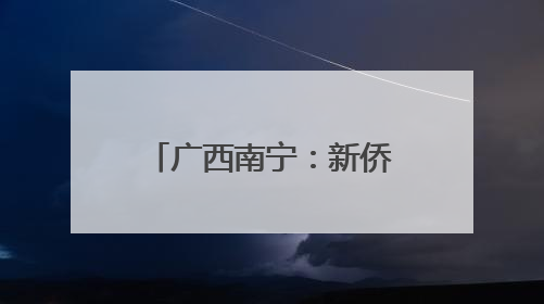 广西南宁：新侨代表共叙端午情