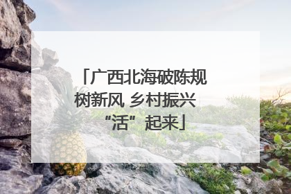 广西北海破陈规树新风 乡村振兴“活”起来