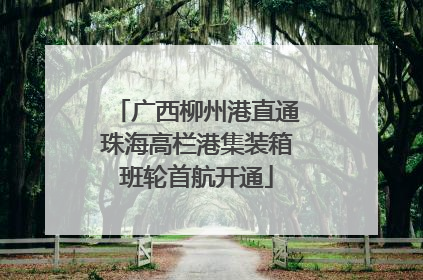 广西柳州港直通珠海高栏港集装箱班轮首航开通